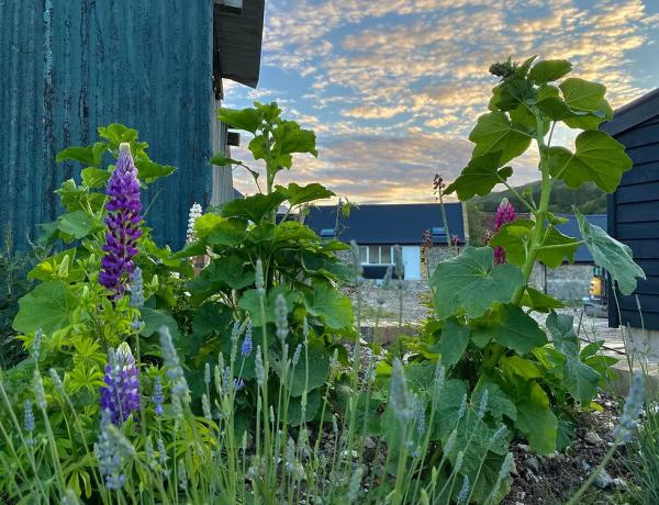 Chilton Farmyard B&B