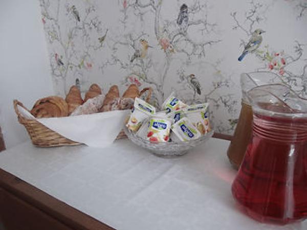 Llanwrtyd Hall B&B and Angelis Holistic Retreat