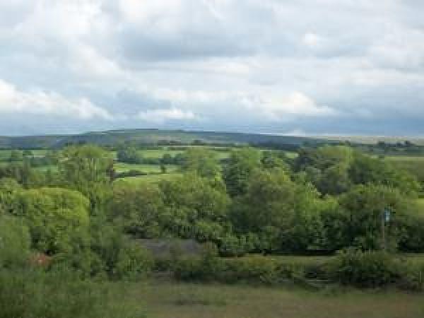 Llanwrtyd Hall B&B and Angelis Holistic Retreat