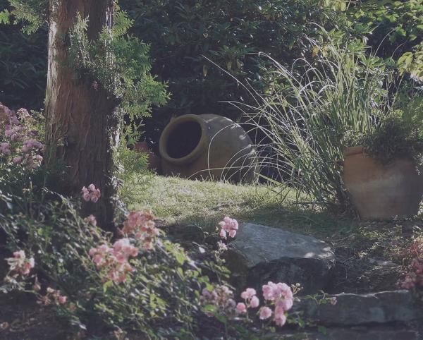 Llanwrtyd Hall B&B and Angelis Holistic Retreat