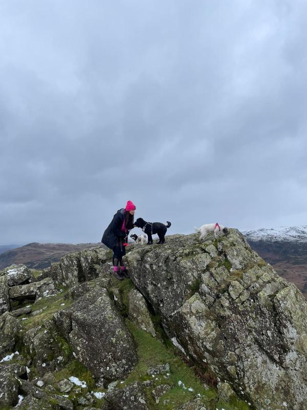 Woof Terrain Dog Services