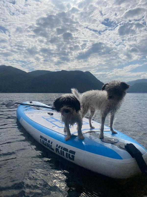 Woof Terrain Dog Services