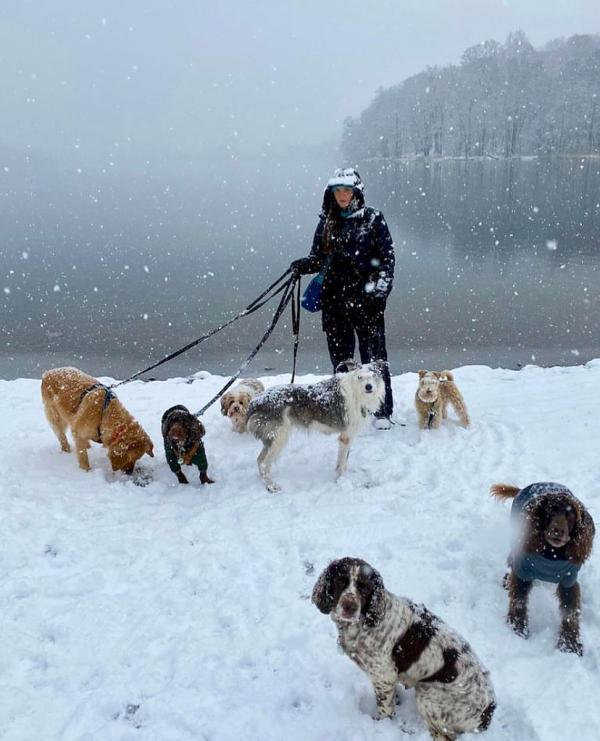 Woof Terrain Dog Services