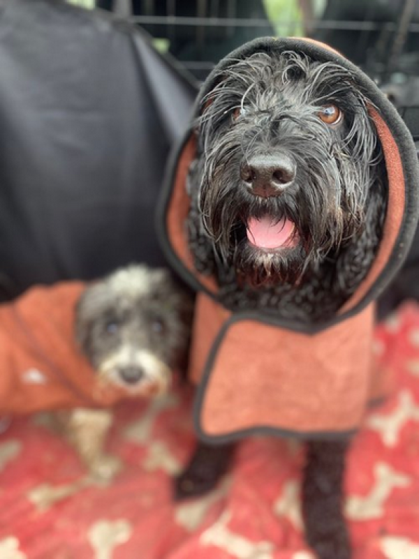 Woof Terrain Dog Services