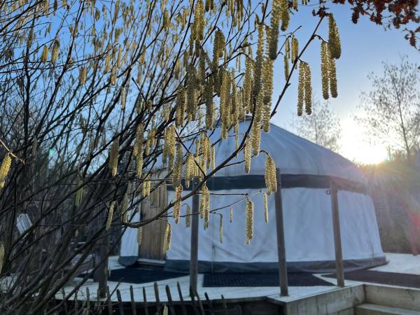 The Secret Yurts