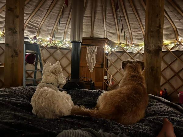 The Secret Yurts
