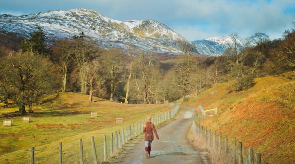 The Herdwick Huts
