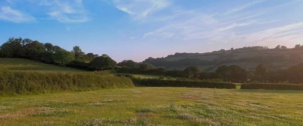 Menagwins Farm, Pop Up & Pitch