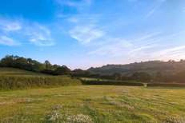 Menagwins Farm, Pop Up & Pitch
