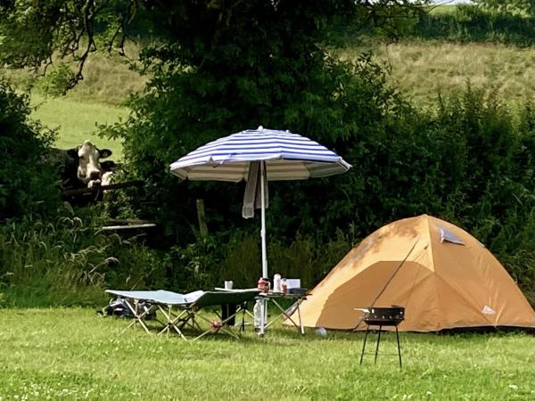 Menagwins Farm, Pop Up & Pitch