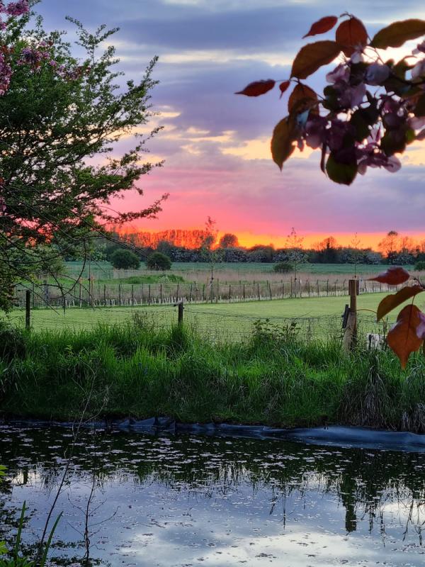 Hawthorne Farm