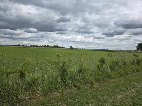 Hawthorne Farm