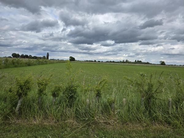 Hawthorne Farm