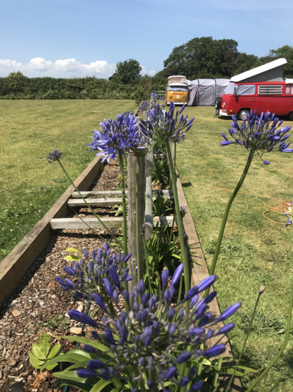 Menehay Farm Touring Park
