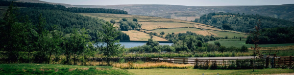 Peak View Shepherd Huts