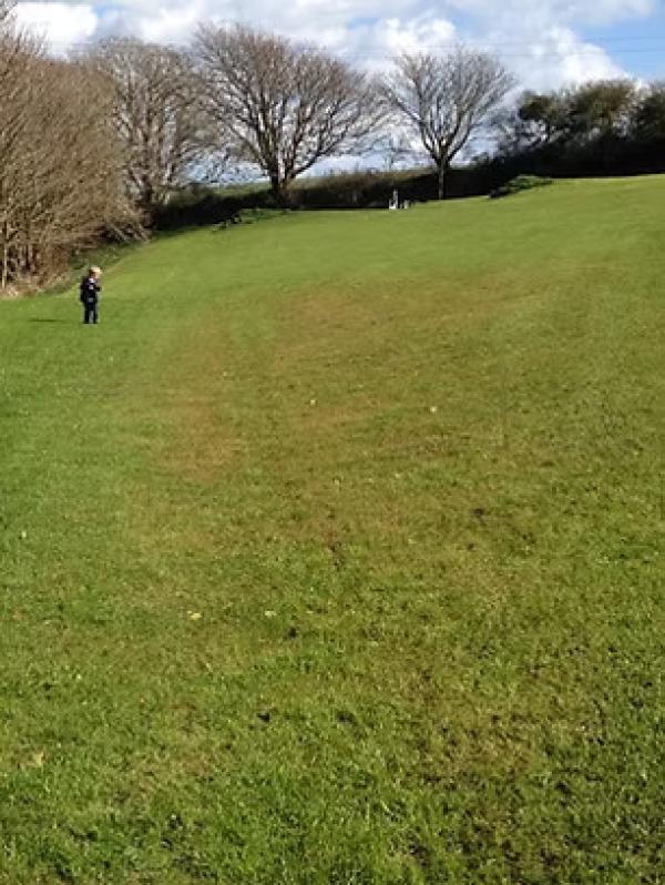 Point Farm Campsite