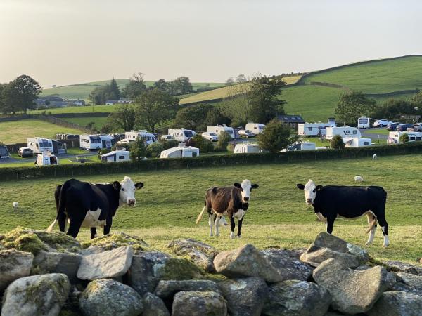 The Ashes Caravan Park (Adults only)