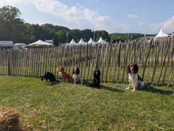 Waggers