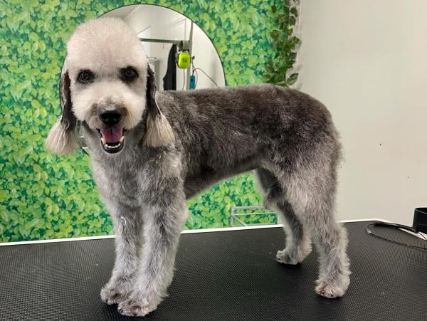 Groomingtails UK
