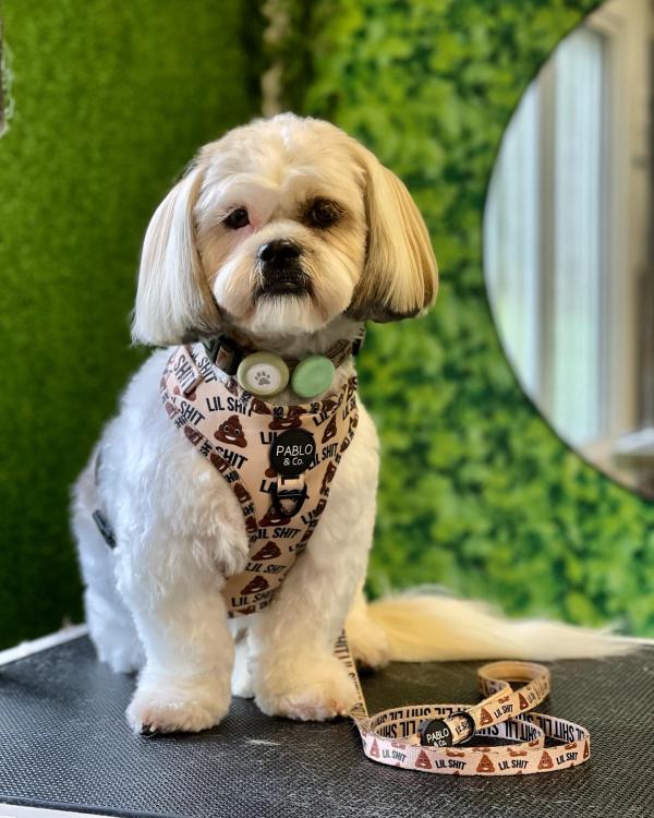 Groomingtails UK