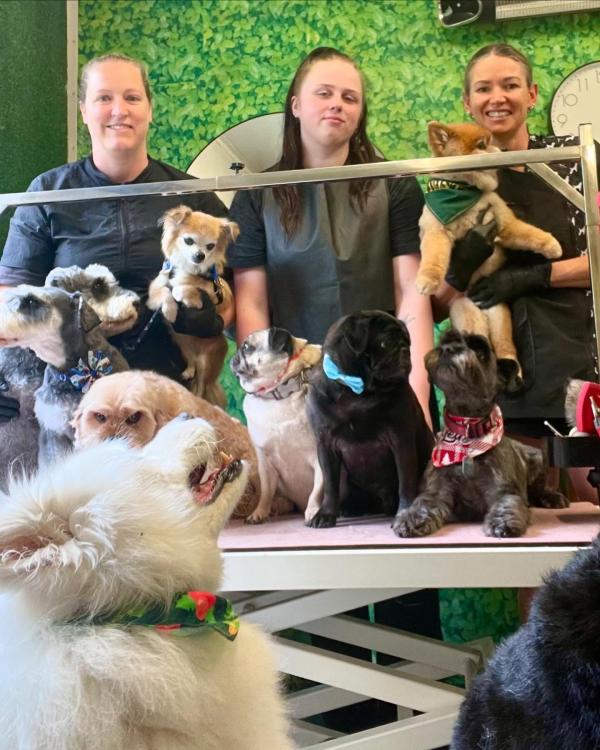 Groomingtails UK
