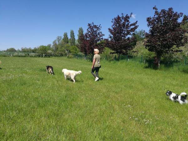 Tails of Wivenhoe