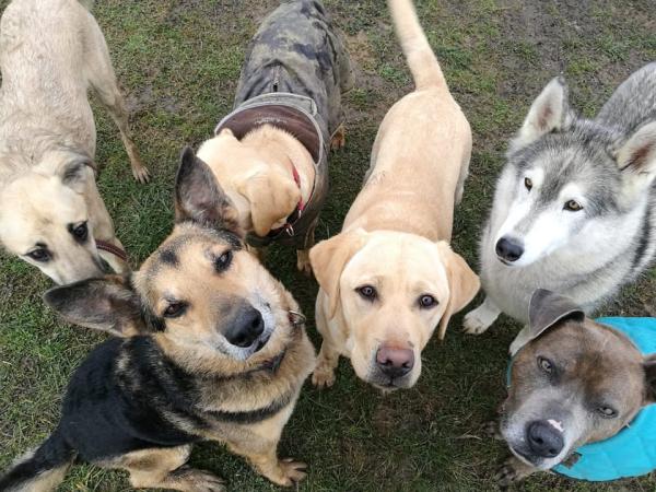 Tails of Wivenhoe
