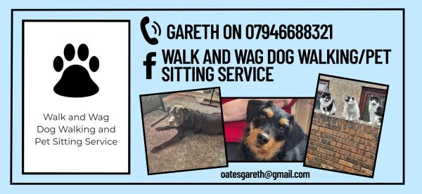 Walk and Wag Dog Walking and Pet Sitting Service