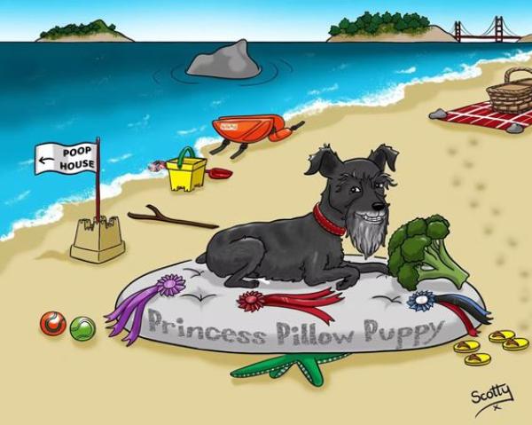 Scotty's Cartoons