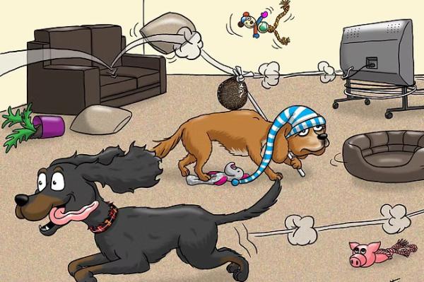 Scotty's Cartoons