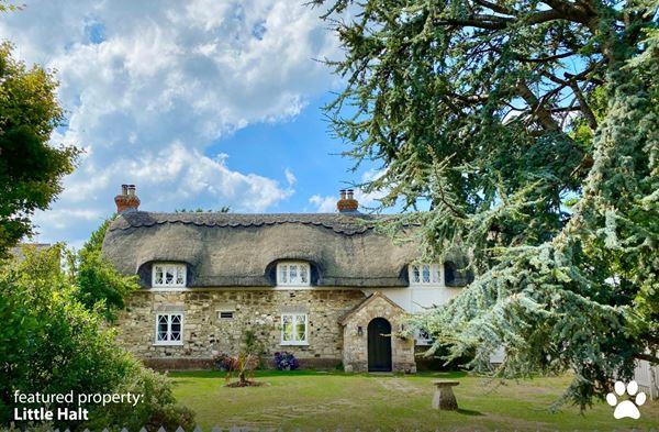 Isle of Wight Hideaways