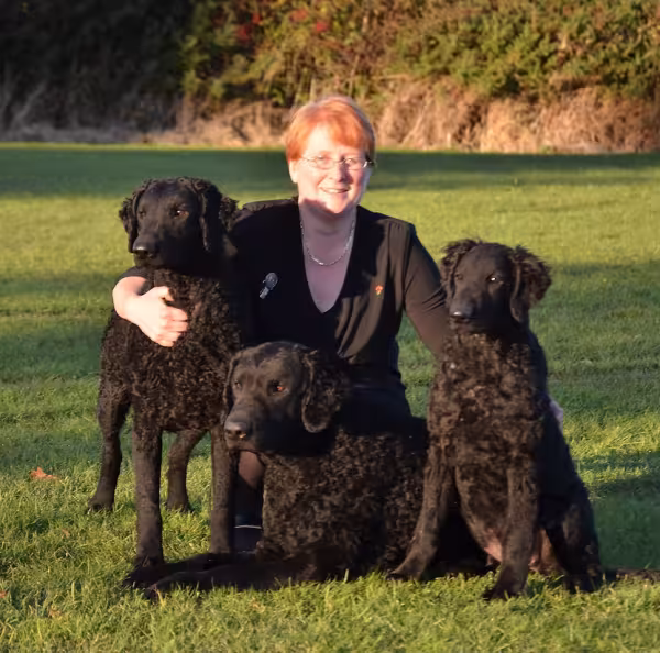 Curlabull Canine Training