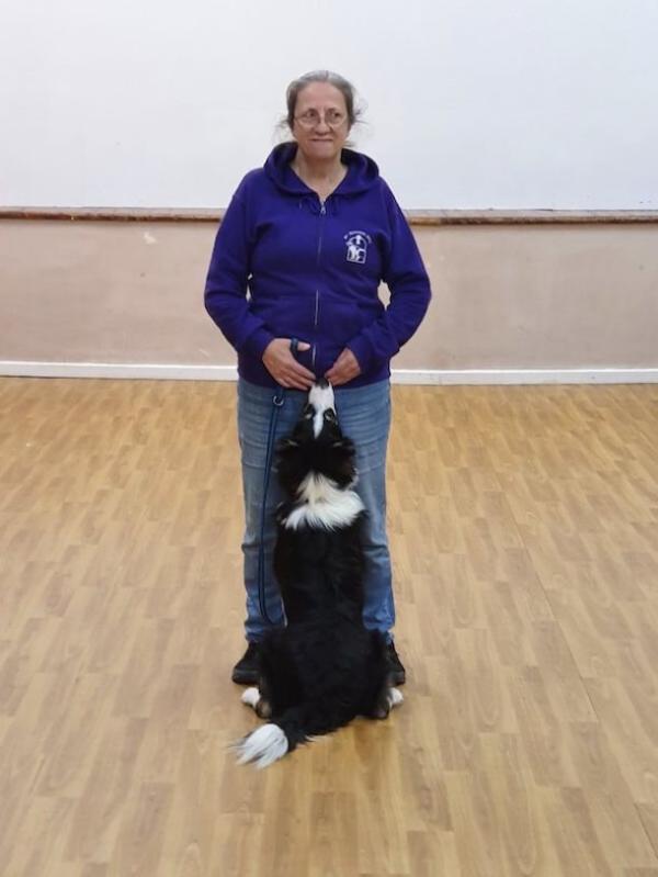 St Edward's Dog Training Club