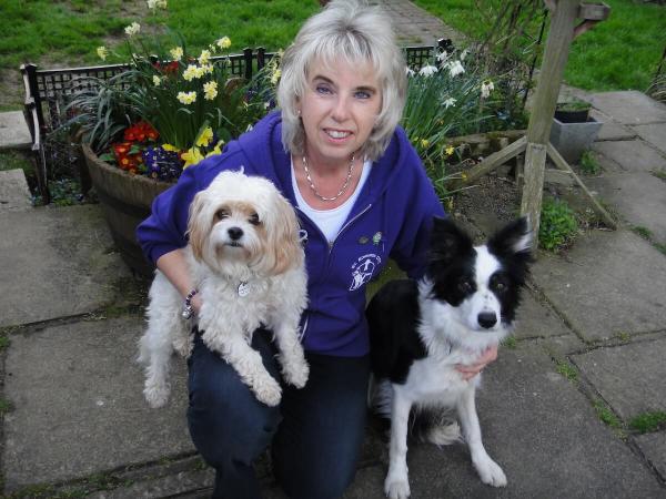 St Edward's Dog Training Club