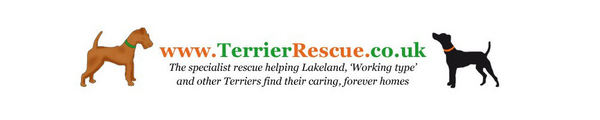 Rescuing terriers