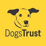 Dog Rescue And Re Homing Centres Near Me in Devon